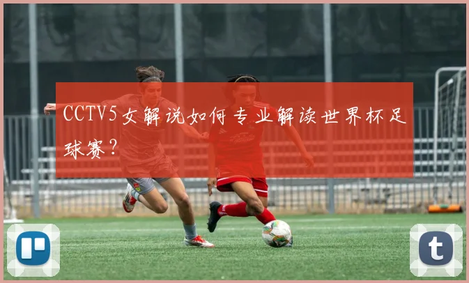 世界杯一年一次可行吗？专访体育经济学家深度解析