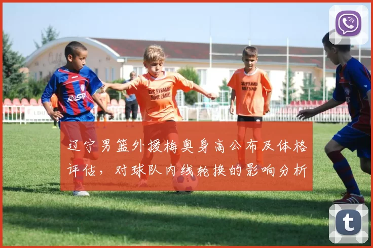 辽宁男篮外援梅奥身高公布及体格评估，对球队内线轮换的影响分析